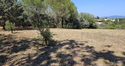 Roquebrune-sur-Argens Terrain à bâtir - 2438799-5163annonce320260224snllv.jpeg Maisons France Confort