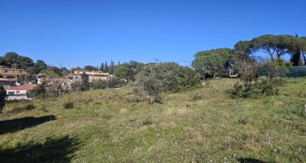 Roquebrune-sur-Argens Terrain à bâtir - 2438805-5163annonce320260224kcCDK.jpeg Maisons France Confort