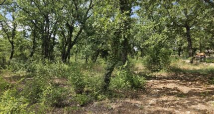 Callian Terrain à bâtir - 2438803-5163annonce220260224fuuXJ.jpeg Maisons France Confort