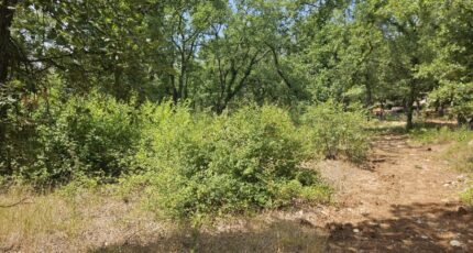 Callian Terrain à bâtir - 2438803-5163annonce320260224ZrsJr.jpeg Maisons France Confort