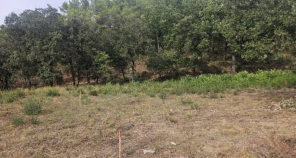 Taradeau Terrain à bâtir - 2438810-5163annonce120260224lBPfQ.jpeg Maisons France Confort