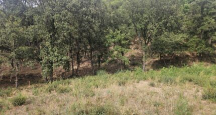 Taradeau Terrain à bâtir - 2438810-5163annonce32026022466OR6.jpeg Maisons France Confort