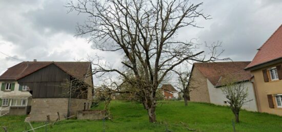 Terrain à bâtir à Aspach-le-Bas, Grand Est