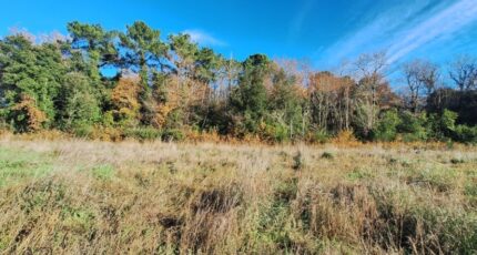 Les Mathes Terrain à bâtir - 2438852-3362annonce1202602241ckQQ.jpeg Maisons France Confort