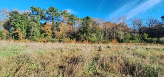 Terrain à bâtir à Les Mathes, Nouvelle-Aquitaine