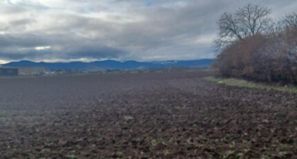 Bischwihr Maison neuve - 2435579-5767annonce120260220LtqfU.jpeg Maisons France Confort