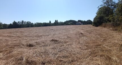 Mézidon-Canon Maison neuve - 2396467-11227annonce120260117nV6IQ.jpeg Maisons France Confort