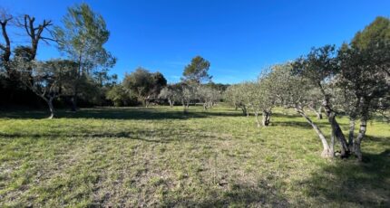 Flayosc Terrain à bâtir - 2439252-11723annonce120260224FQeuP.jpeg Maisons France Confort