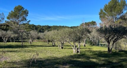 Flayosc Terrain à bâtir - 2439252-11723annonce320260224Qn98Z.jpeg Maisons France Confort