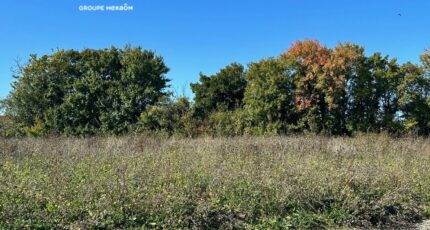 Ardillières Maison neuve - 2439455-9644annonce1202602244FyTy.jpeg Maisons France Confort