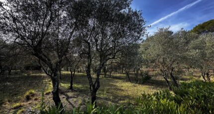 Lorgues Maison neuve - 2439498-3701annonce120260224FceUq.jpeg Maisons France Confort