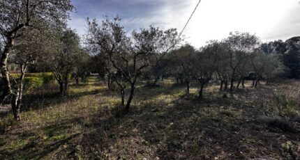 Lorgues Maison neuve - 2439508-3701annonce220260224mqUUf.jpeg Maisons France Confort