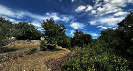 Lorgues Terrain à bâtir - 2439558-3701annonce120260224gluQ1.jpeg Maisons France Confort