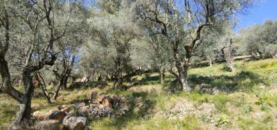 Maison neuve à , Alpes-Maritimes