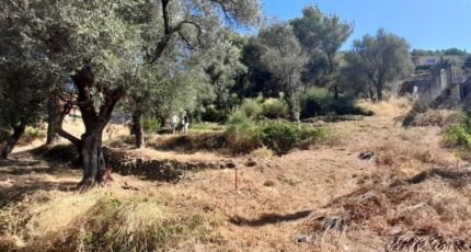 Saint-Martin-du-Var Terrain à bâtir - 2439830-3059annonce120260224Evm9D.jpeg Maisons France Confort