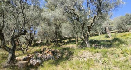 Saint-Martin-du-Var Maison neuve - 2439844-3059annonce120240711d4LTp.jpeg Maisons France Confort