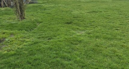 Jarnac-Champagne Maison neuve - 2439778-11760annonce220260224Hmm7T.jpeg Maisons France Confort