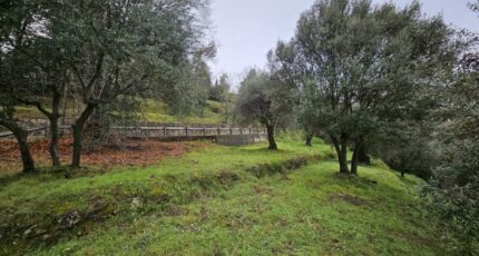 Berre-les-Alpes Maison neuve - 2403351-10633annonce120250605KTmCQ.jpeg Maisons France Confort