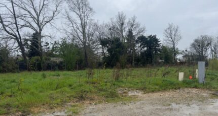 Castres-Gironde Terrain à bâtir - 2440149-1803annonce1202602250nf5W.jpeg Maisons France Confort