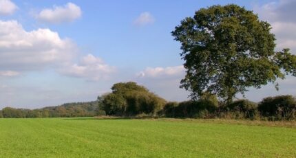 Rambouillet Terrain à bâtir - 2440355-10686annonce120250716bQCqX.jpeg Maisons France Confort