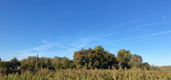 Terrain à bâtir à Saugnac-et-Cambran, Nouvelle-Aquitaine