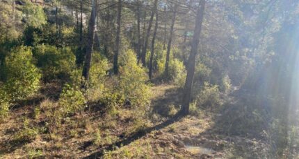 Brignoles Terrain à bâtir - 2440611-5922annonce120260225RihTb.jpeg Maisons France Confort