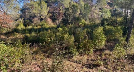 Brignoles Terrain à bâtir - 2440611-5922annonce420260225e2MDO.jpeg Maisons France Confort