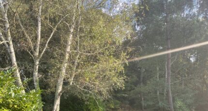 Le Pian-Médoc Terrain à bâtir - 2404838-11016annonce120260123AJTro.jpeg Maisons France Confort