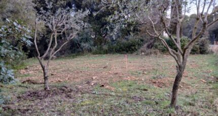 Lambesc Terrain à bâtir - 2405269-11680annonce320260124PKMEA.jpeg Maisons France Confort