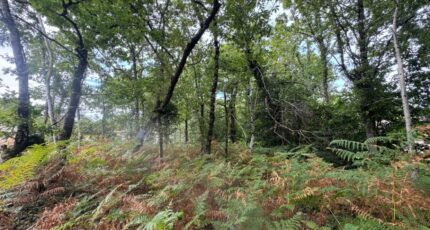 Grayan-et-l'Hôpital Maison neuve - 2440940-10624annonce220250910gU9q6.jpeg Maisons France Confort