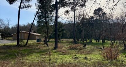 Casteljaloux Maison neuve - 2440874-10776annonce1202602250mZXS.jpeg Maisons France Confort