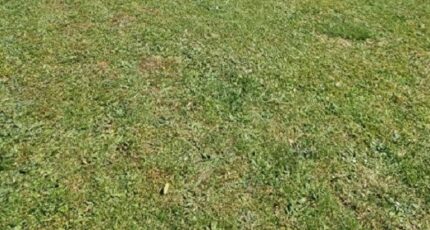 Lagny-sur-Marne Terrain à bâtir - 2405304-5508annonce120260124HTFF6.jpeg Maisons France Confort