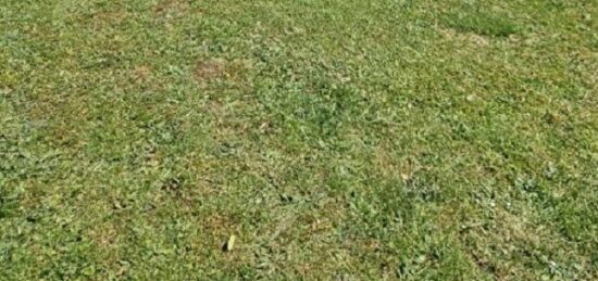 Terrain à bâtir à Mitry-Mory, Île-de-France