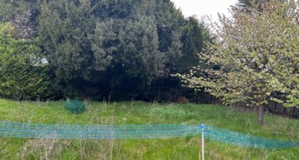 Lieusaint Terrain à bâtir - 2405375-5508annonce1202601247TQRA.jpeg Maisons France Confort