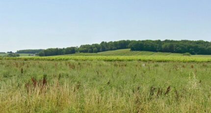 Flaugeac Terrain à bâtir - 2409342-7107annonce120260127tlmcl.jpeg Maisons France Confort