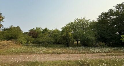 Sorigny Terrain à bâtir - 2441311-10341annonce320260225a9aQ9.jpeg Maisons France Confort