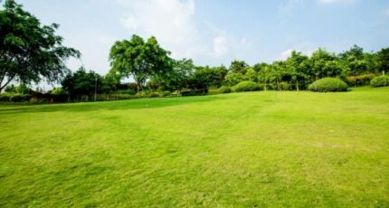 Esvres Terrain à bâtir - 2439556-10650annonce120260224bSF5J.jpeg Maisons France Confort