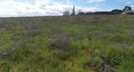 Bazus Terrain à bâtir - 2441457-5202annonce2202602262kPEN.jpeg Maisons France Confort