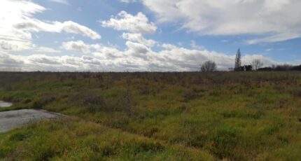 Bazus Terrain à bâtir - 2441457-5202annonce3202602266AQIU.jpeg Maisons France Confort