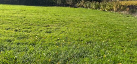 Terrain à bâtir à Landiras, Nouvelle-Aquitaine