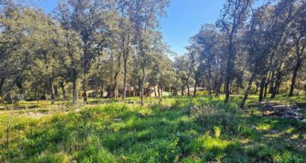 Le Thoronet Terrain à bâtir - 2441805-11723annonce120260226zBpTE.jpeg Maisons France Confort