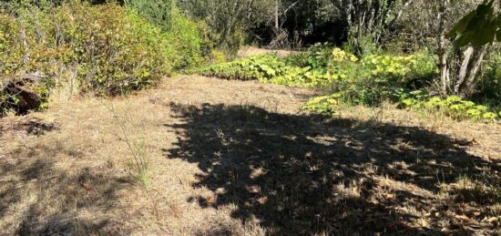 Terrain à bâtir à Carqueiranne, Provence-Alpes-Côte d'Azur