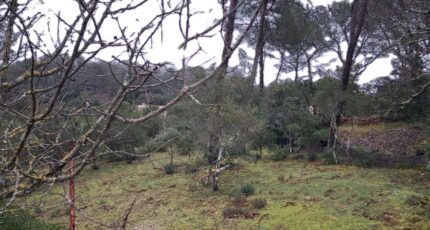 Garéoult Terrain à bâtir - 2442051-10746annonce120260226bppZk.jpeg Maisons France Confort