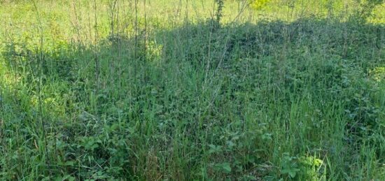Terrain à bâtir à Audenge, Nouvelle-Aquitaine