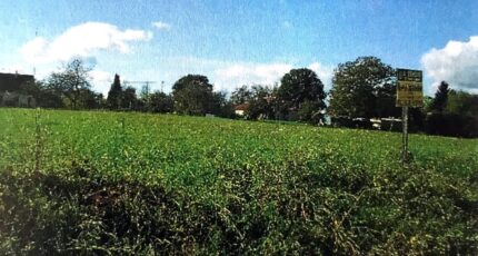 Chalautre-la-Petite Terrain à bâtir - 2442194-4032annonce120260226GkQZB.jpeg Maisons France Confort