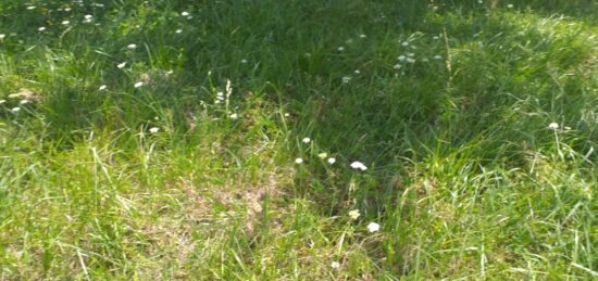 Terrain à bâtir à Espiet, Nouvelle-Aquitaine