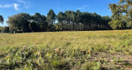 Le Porge Terrain à bâtir - 2442292-11280annonce12026022667fDB.jpeg Maisons France Confort