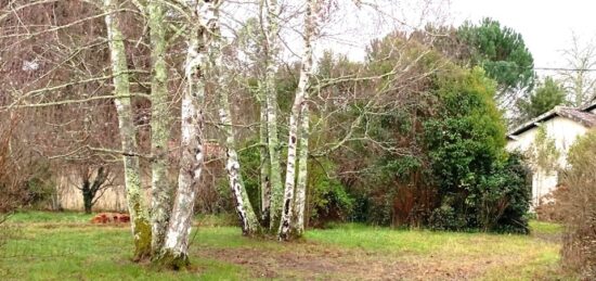 Terrain à bâtir à Carignan-de-Bordeaux, Nouvelle-Aquitaine