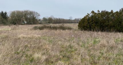 Pont-l'Abbé-d'Arnoult Maison neuve - 2439269-11194annonce120260224tBTkd.jpeg Maisons France Confort