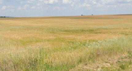 Saint-Doulchard Maison neuve - 2442468-11786annonce120260227fvzvg.jpeg Maisons France Confort